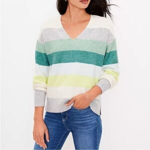 LOFT Multicolor Striped V-Neck Sweater 💚